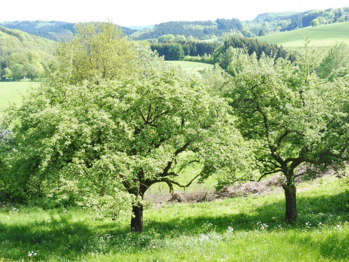 Kleine Villa Im Wilden Garten Гумерсбах Екстериор снимка