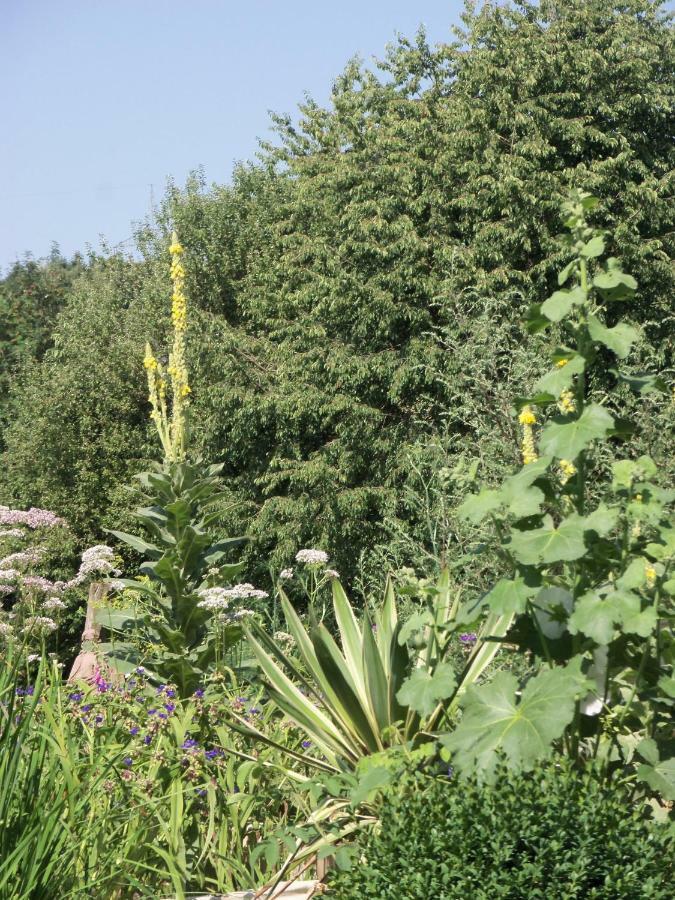 Kleine Villa Im Wilden Garten Гумерсбах Екстериор снимка