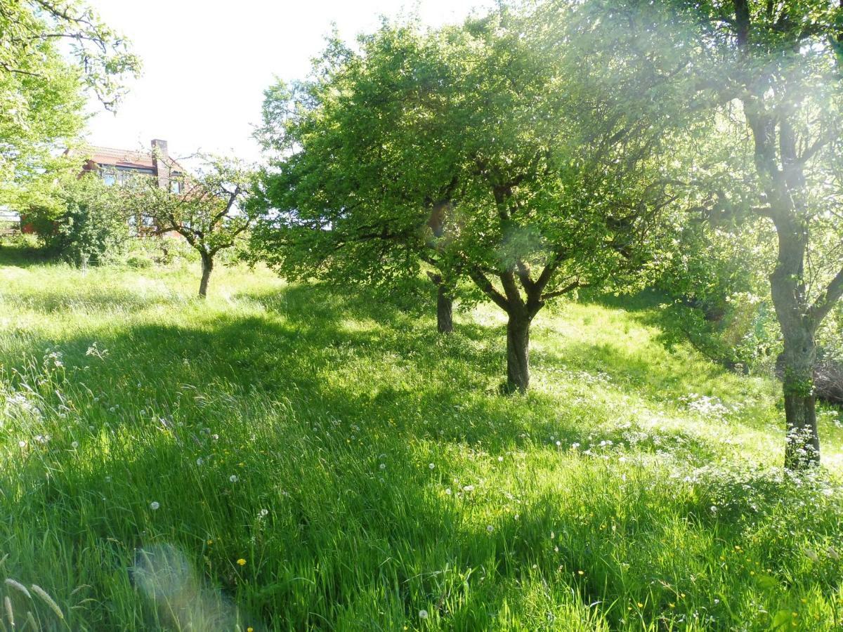 Kleine Villa Im Wilden Garten Гумерсбах Екстериор снимка