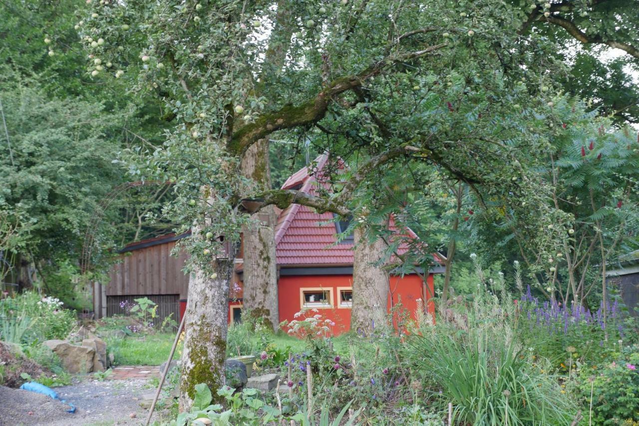 Kleine Villa Im Wilden Garten Гумерсбах Екстериор снимка