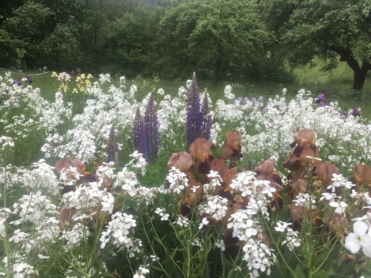 Kleine Villa Im Wilden Garten Гумерсбах Екстериор снимка